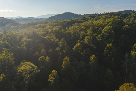 10+/- Acres of Unrestricted Land For Sale in Caldwell County - image 5