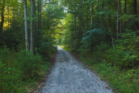 10+/- Acres of Unrestricted Land For Sale in Caldwell County - image 3