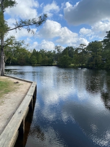 Waterfront Property on the Houston River - Calcasieu Parish - image 21
