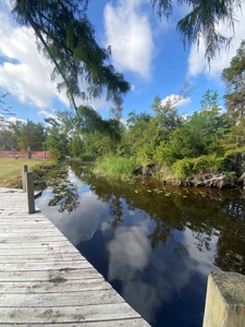 Waterfront Property on the Houston River - Calcasieu Parish - image 13