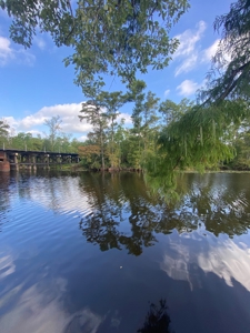 Waterfront Property on the Houston River - Calcasieu Parish - image 17