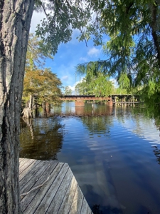 Waterfront Property on the Houston River - Calcasieu Parish - image 14