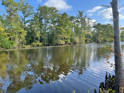 Waterfront Property on the Houston River - Calcasieu Parish - image 31