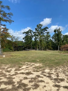 Waterfront Property on the Houston River - Calcasieu Parish - image 27