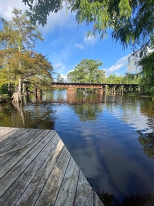 Waterfront Property on the Houston River - Calcasieu Parish - image 1