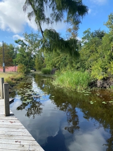 Waterfront Property on the Houston River - Calcasieu Parish - image 12