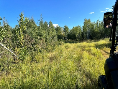 Northern MN Hunting Property for Sale Near Big Falls - image 16