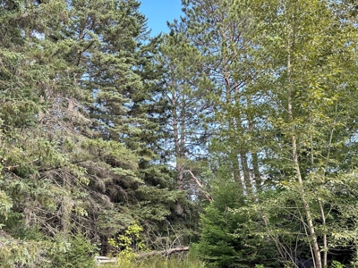 Northern MN Hunting Property for Sale Near Big Falls - image 14