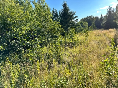 Northern MN Hunting Property for Sale Near Big Falls - image 34