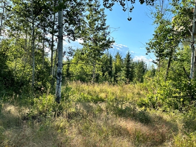 Northern MN Hunting Property for Sale Near Big Falls - image 28