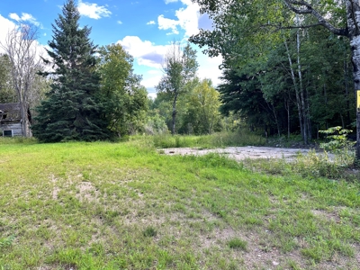 Northern MN Hunting Property for Sale Near Big Falls - image 3