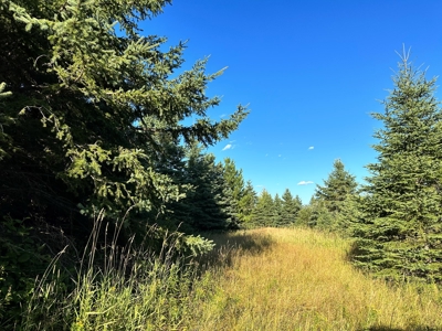 Northern MN Hunting Property for Sale Near Big Falls - image 32