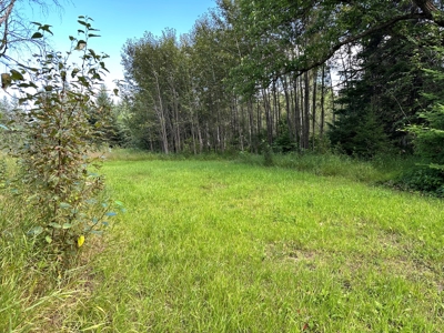 Northern MN Hunting Property for Sale Near Big Falls - image 5
