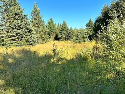 Northern MN Hunting Property for Sale Near Big Falls - image 33