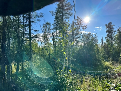 Northern MN Hunting Property for Sale Near Big Falls - image 18