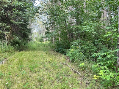 Northern MN Hunting Property for Sale Near Big Falls - image 10