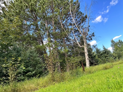 Northern MN Hunting Property for Sale Near Big Falls - image 7
