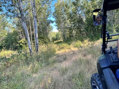Northern MN Hunting Property for Sale Near Big Falls - image 1