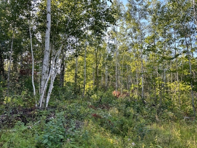Northern MN Hunting Property for Sale Near Big Falls - image 25