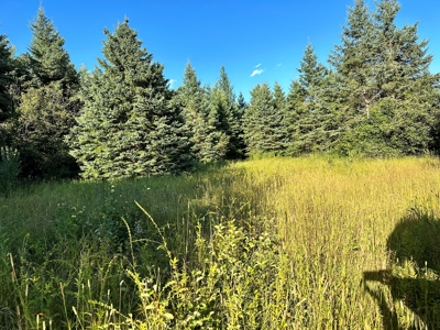 Northern MN Hunting Property for Sale Near Big Falls - image 31