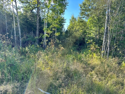 Northern MN Hunting Property for Sale Near Big Falls - image 26