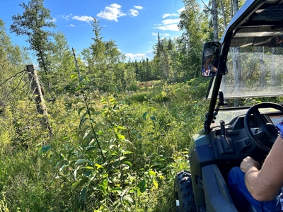 Northern MN Hunting Property for Sale Near Big Falls - image 21