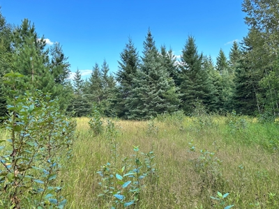 Northern MN Hunting Property for Sale Near Big Falls - image 8