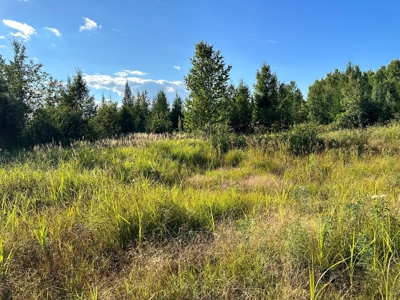 Northern MN Hunting Property for Sale Near Big Falls - image 15
