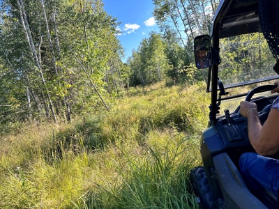 Northern MN Hunting Property for Sale Near Big Falls - image 19