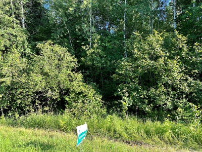 Northern MN Hunting Property for Sale Near Big Falls - image 29