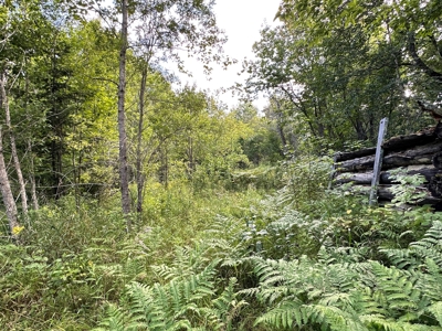 Northern MN Hunting Property for Sale Near Big Falls - image 12