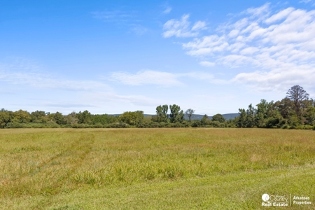 Cabins for sale in Arkansas with creek and acreage - image 21