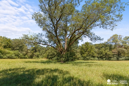 Cabins for sale in Arkansas with creek and acreage - image 20