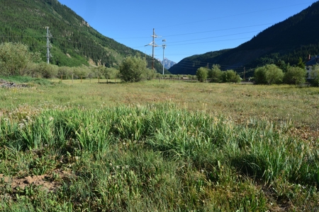 Land for Sale in Historic Silverton Colorado! - image 3