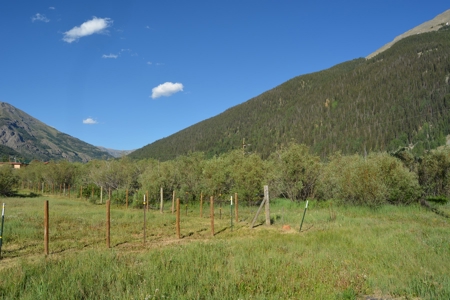 Land for Sale in Historic Silverton Colorado! - image 5