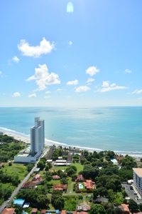 Royal Palm, Nueva Gorgona, Coronado, Panama - image 13