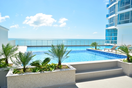 Royal Palm, Nueva Gorgona, Coronado, Panama - image 6