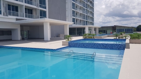 Royal Palm, Nueva Gorgona, Coronado, Panama - image 20