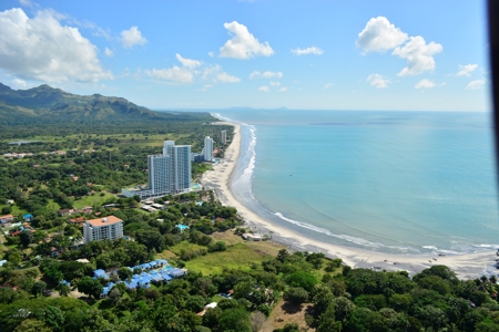 Royal Palm, Nueva Gorgona, Coronado, Panama - image 15