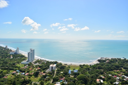 Royal Palm, Nueva Gorgona, Coronado, Panama - image 16