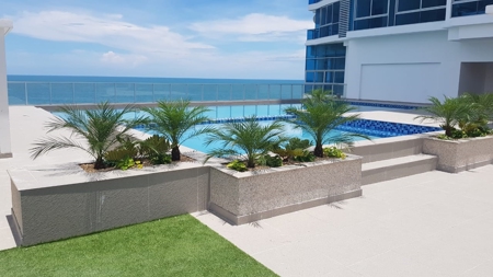 Royal Palm, Nueva Gorgona, Coronado, Panama - image 21