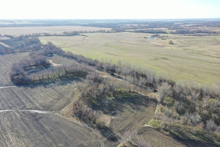 Harrison County Creek Bottom Farm For Sale - image 8