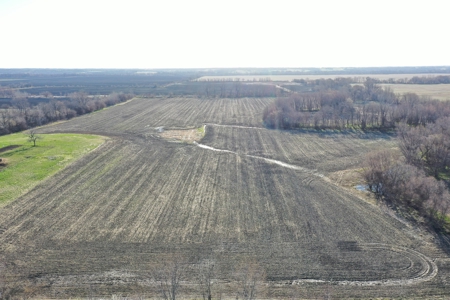 Harrison County Creek Bottom Farm For Sale - image 9