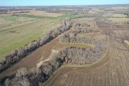 Harrison County Creek Bottom Farm For Sale - image 5