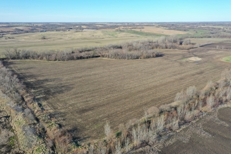 Harrison County Creek Bottom Farm For Sale - image 2