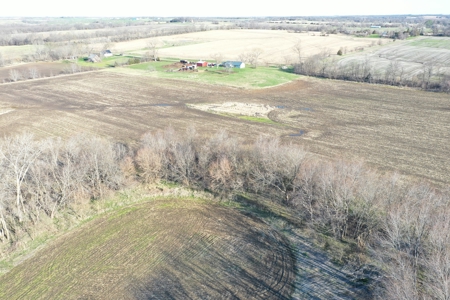 Harrison County Creek Bottom Farm For Sale - image 10