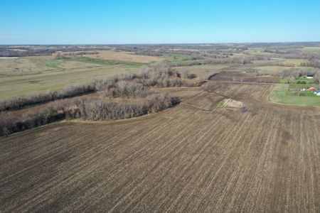 Harrison County Creek Bottom Farm For Sale - image 3