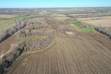 Harrison County Creek Bottom Farm For Sale - image 4