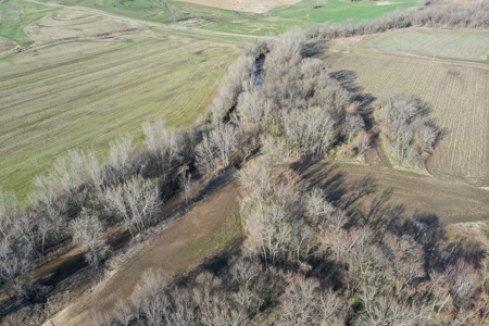 Harrison County Creek Bottom Farm For Sale - image 7