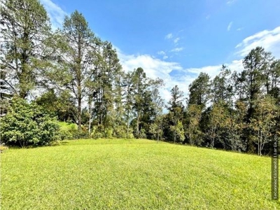 Expansive Land and Beautiful Home in Guarne, Antioquia - image 15